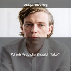 Which probiotic should i take quiz