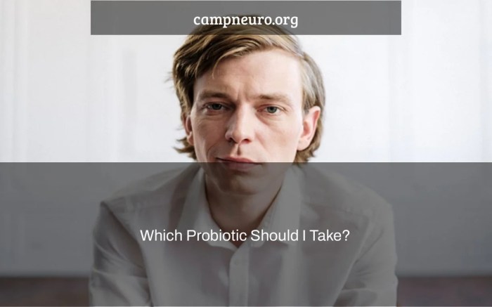 Which probiotic should i take quiz