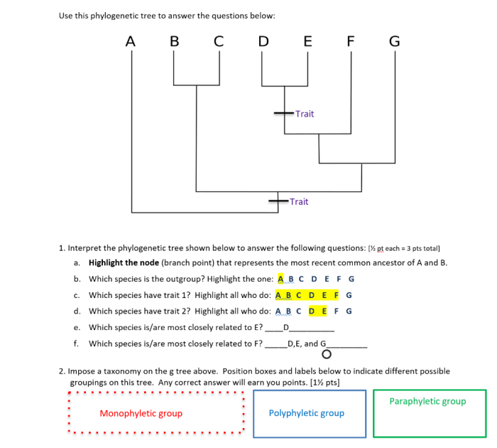 Phylogenetic tree pogil answers key