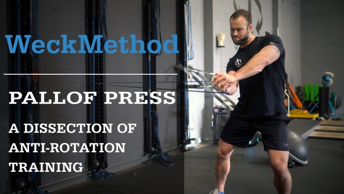 Anti rotation exercises