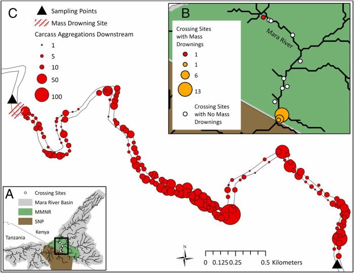 Nutrient cycling in the serengeti answer key